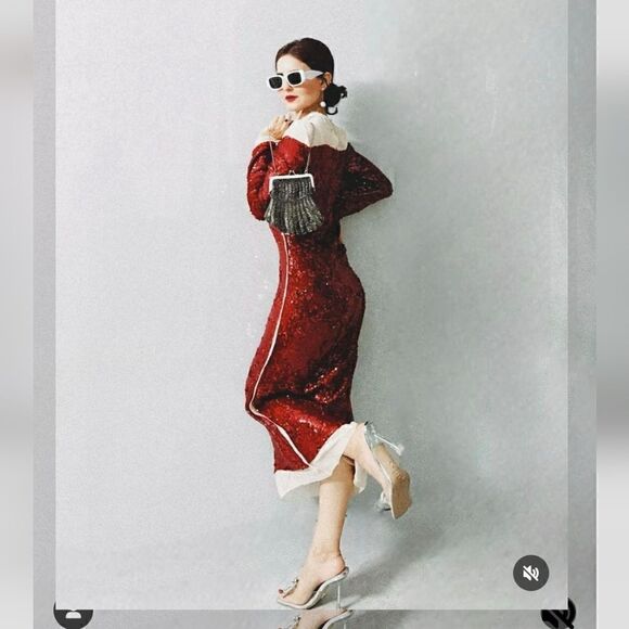 Zara Runs bigLimited EDITION- BLOGGER'S FAVE! SEQUIN CHIFFON DRESS ZW COLLECTION - Picture 14 of 16